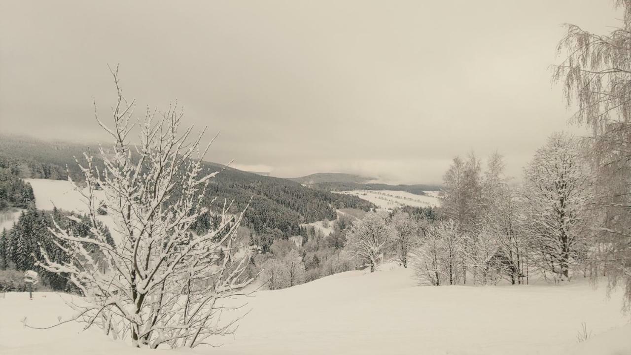 Horsky Apartman Roky - Krkonose Rokytnice nad Jizerou Eksteriør bilde